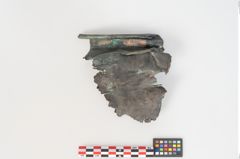 Foto von Bronzesitula (NHMW-PRAE-024474)